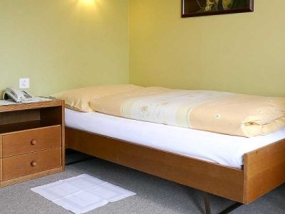 Terminus Brugg Hotel 3*