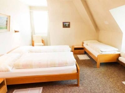 Terminus Brugg Hotel 3*